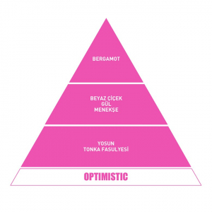 Vavana Car Freshener Optımıstıc Blıster - Geçme Koku