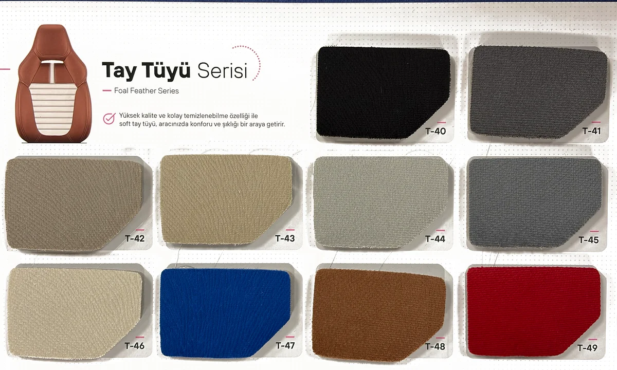 Tay Tüyü