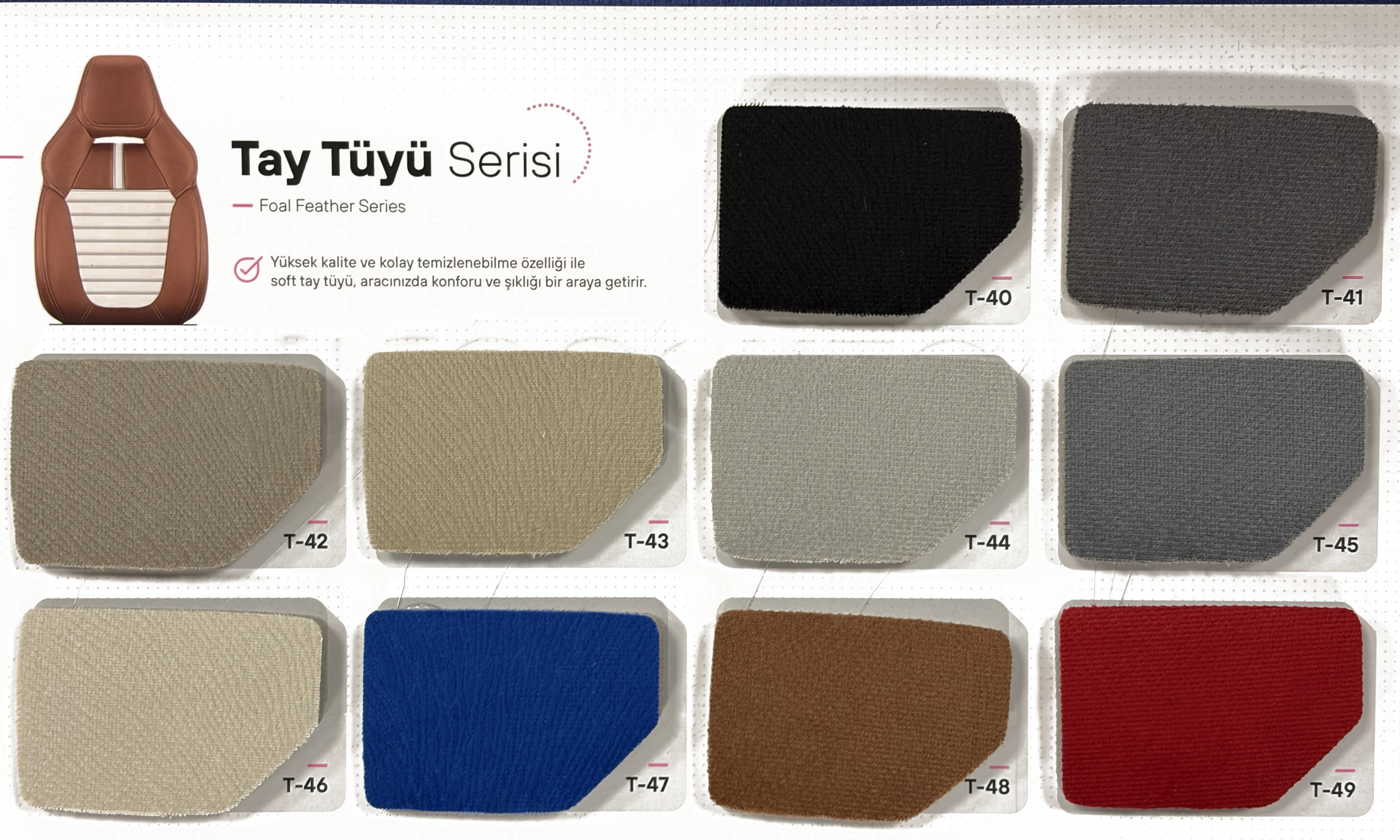 Tay Tüyü